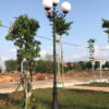Đơn Vị Cung Cấp Trụ Đèn Trang Trí Công Cộng Uy Tín
